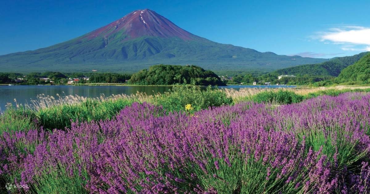 🏞️ 오치아이 강 휴식의 물가(오치아이가와 이코이노 미즈베) 이미지 1